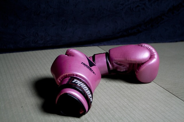 無料の写真: ボクシング, 手袋, スポーツ, ピンク, グローブ, ボクサー - Pixabayの無料画像 - 415394