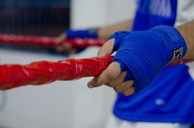 無料の写真: ボクシング, 戦闘機, ロープ, 手 - Pixabayの無料画像 - 412001